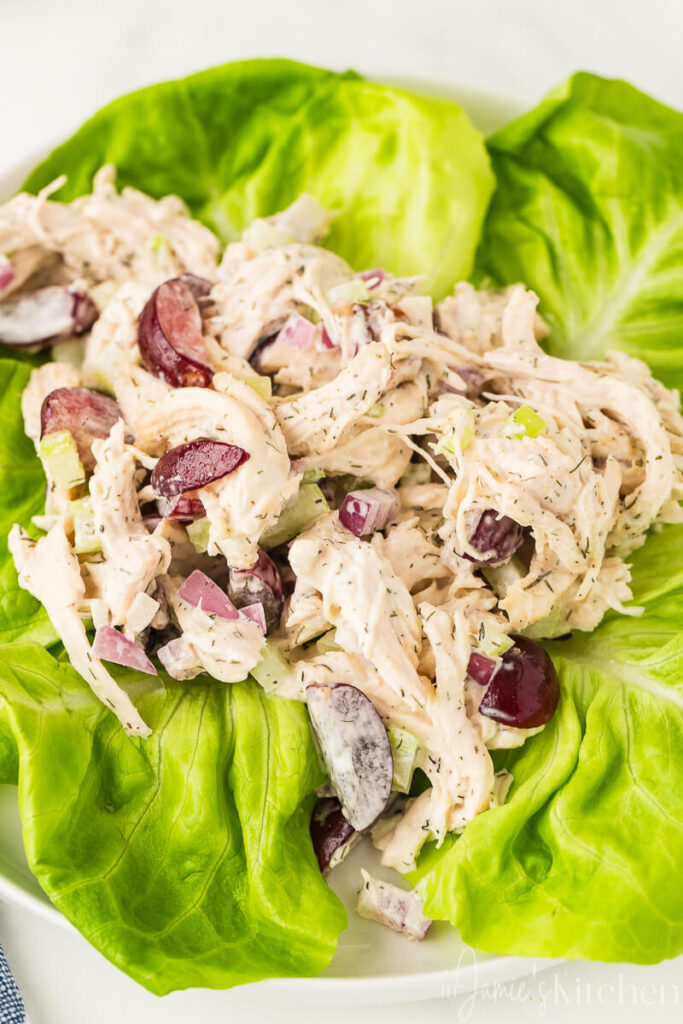 chicken-salad-with-grapes-and-pecans-chicken-salad-for-sandwiches-chicken-salad-recipe-easy-how-to-cook-chicken-for-chicken-salad-in-jamies-kitchen